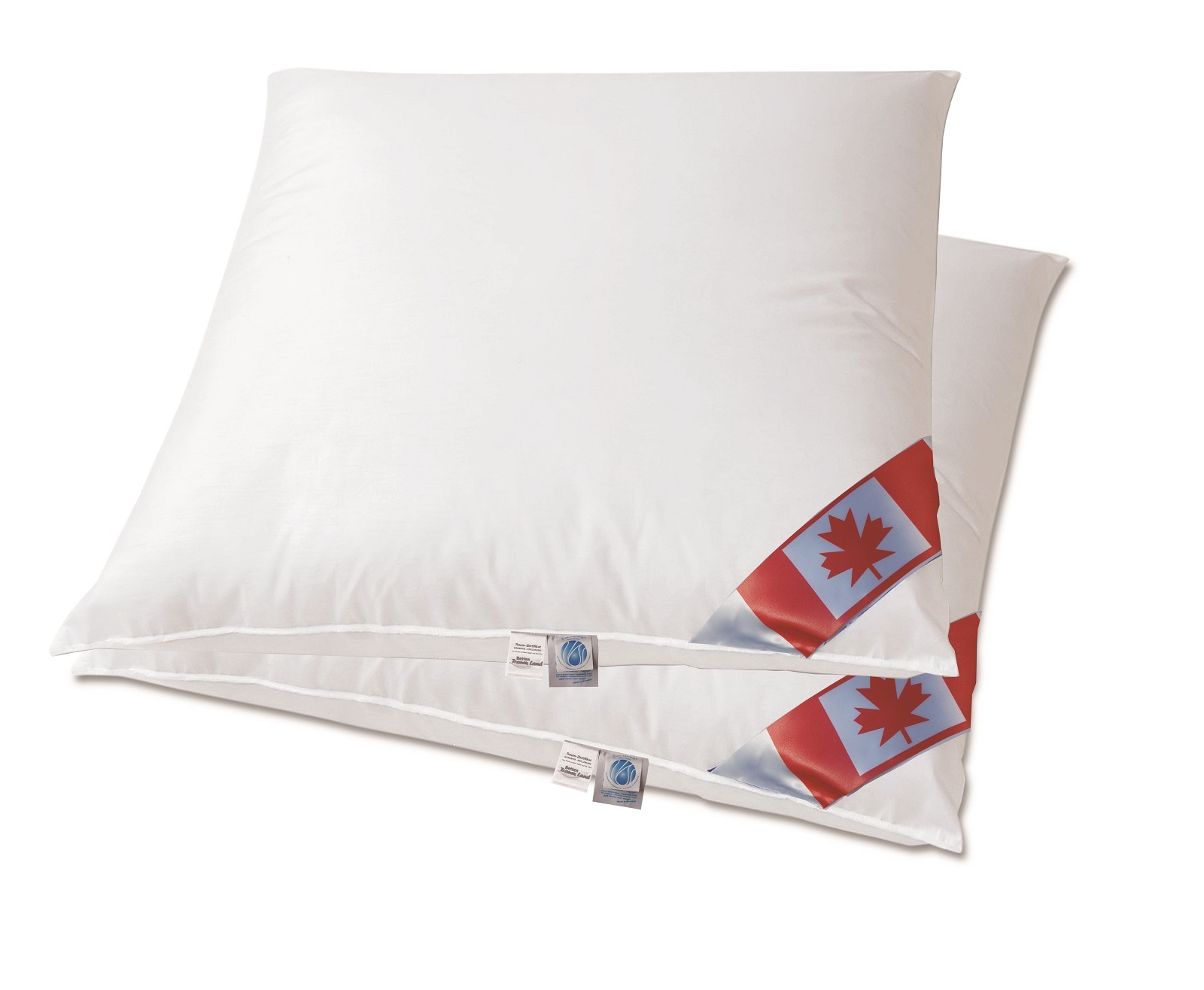 AC%20Daunenkissen%2080x80%202Stk